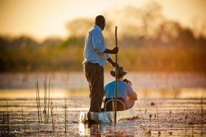 evening in the reeds