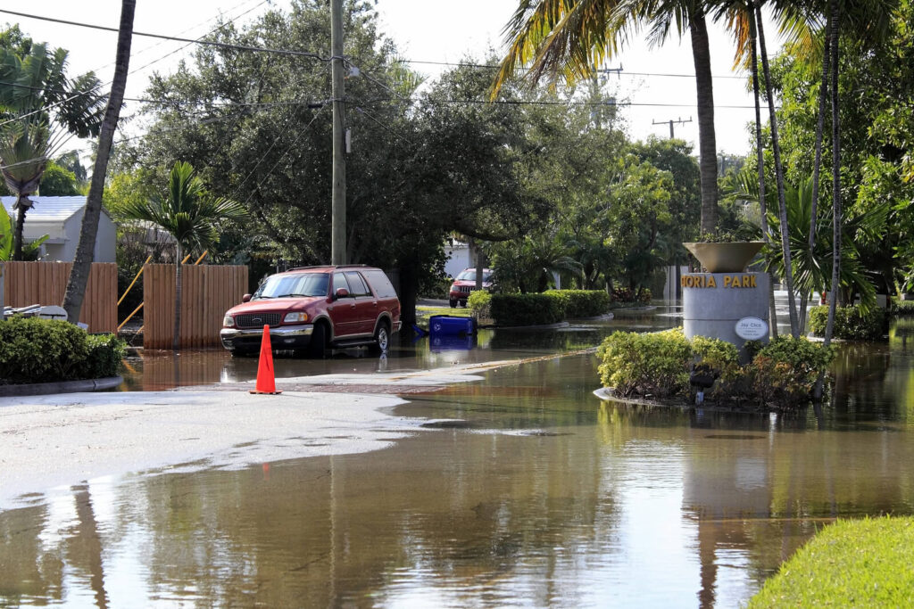 Aftermath of the two hurricanes, Helene and Milton.