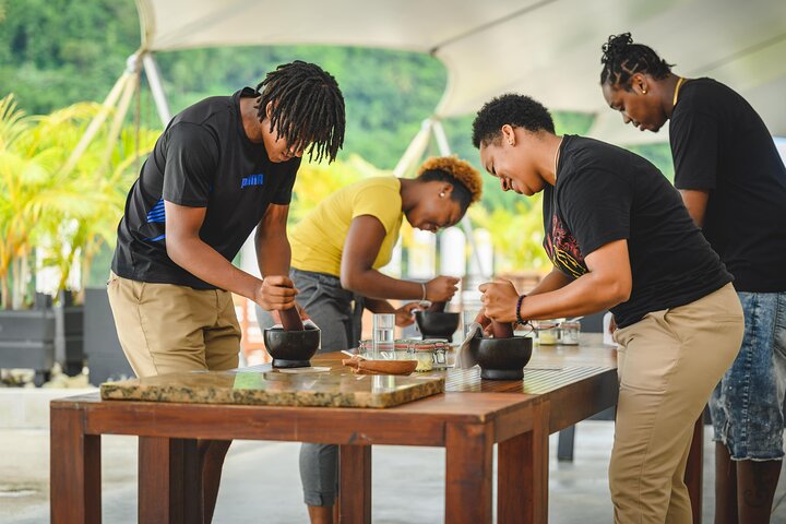 Project Chocolat Tree to Bar Tour at Hotel Chocolat Saint Lucia